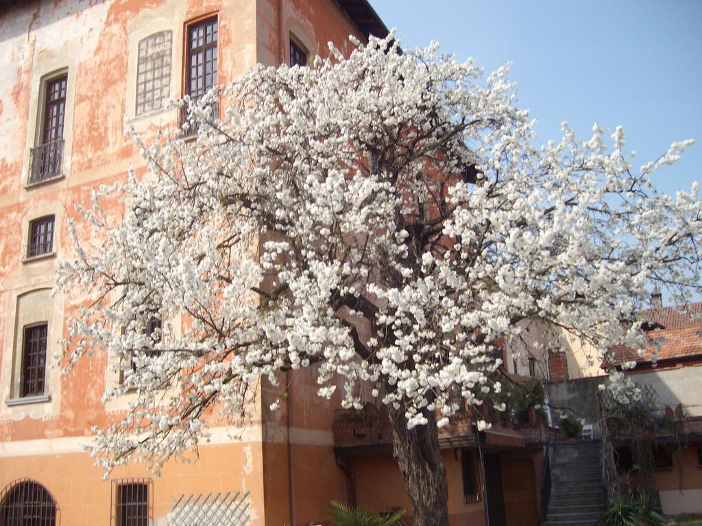 Il Castello Delle Meraviglie Fontaneto d'Agogna Dış mekan fotoğraf